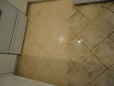 DSC00975